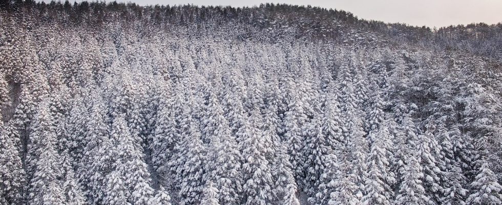 金沢の写真撮影 動画制作 ドローン空撮のlacofilms