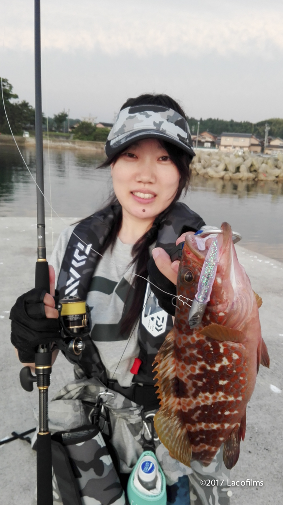 石川県釣り 鰀目漁港 ロックフィッシュ キジハタ 金沢の動画制作 写真撮影 ドローン空撮 Lacofilms