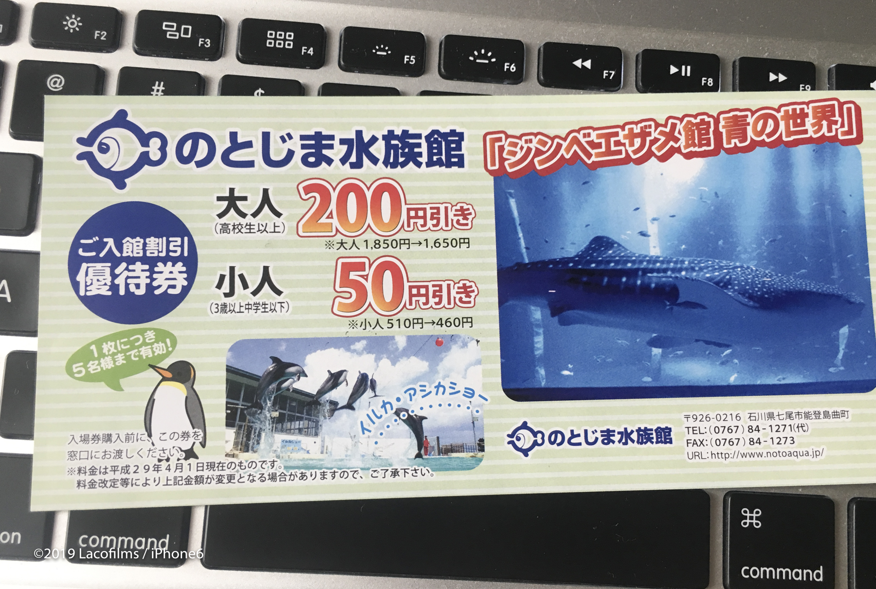 のとじま水族館 お得な割引チケットの入手方法や効率良いコース 金沢の動画制作 写真撮影 ドローン空撮 Lacofilms