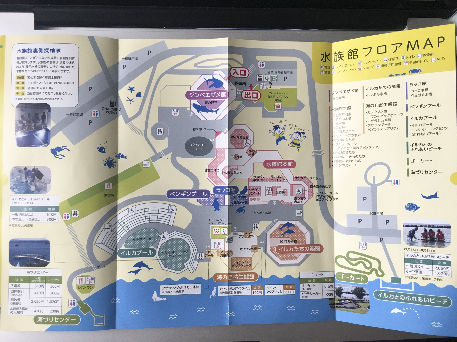 のとじま水族館 お得な割引チケットの入手方法や効率良いコース 金沢の動画制作 写真撮影 ドローン空撮 Lacofilms のとじま水族館 お得な割引チケットの入手方法や効率良いコース 金沢の動画制作 写真撮影 ドローン空撮 Lacofilms