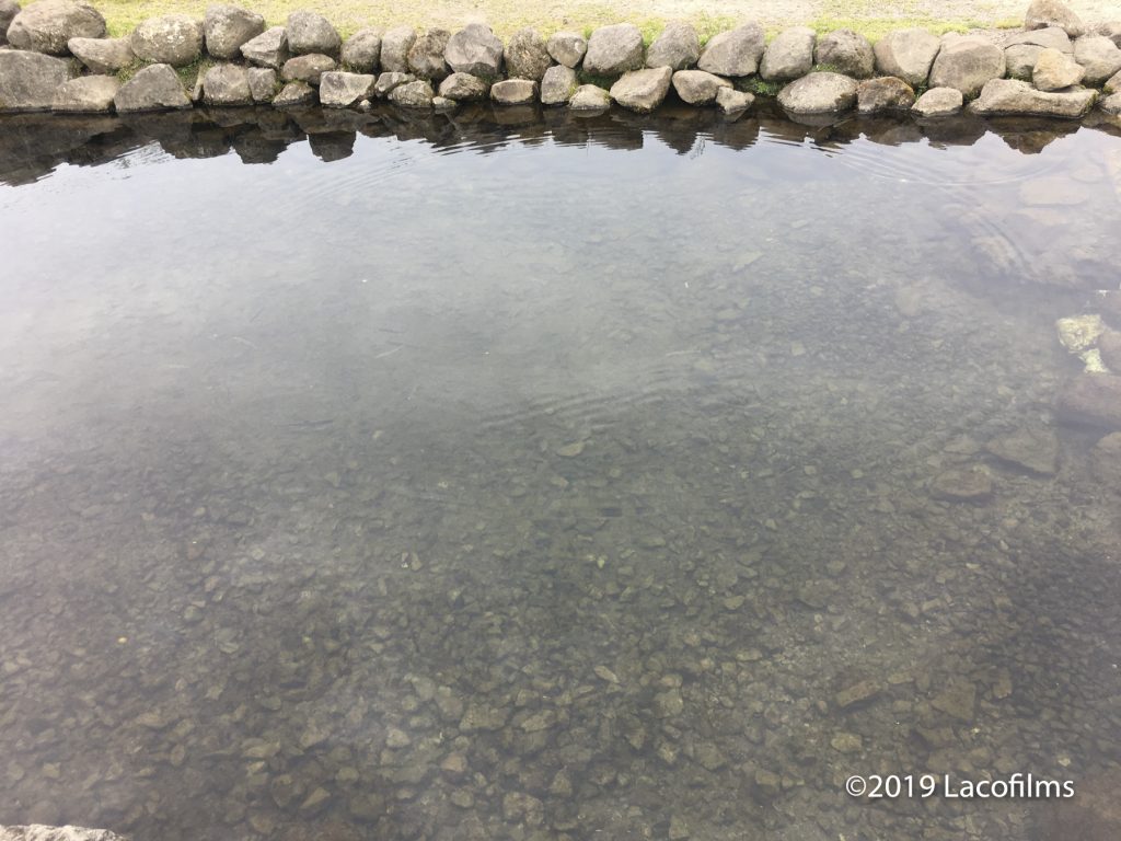 19北海道釣りの旅 Vol 14 ひがしもこと芝桜公園 金沢の動画制作 写真撮影 ドローン空撮 Lacofilms 19北海道釣りの旅 Vol 14 ひがしもこと芝桜公園 金沢の動画制作 写真撮影 ドローン空撮 Lacofilms