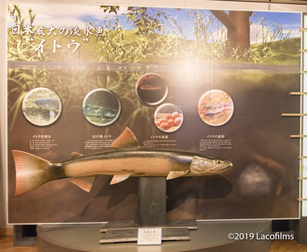 19北海道釣りの旅 Vol 8 釧路湿原展望台 金沢の動画制作 写真撮影 ドローン空撮 Lacofilms