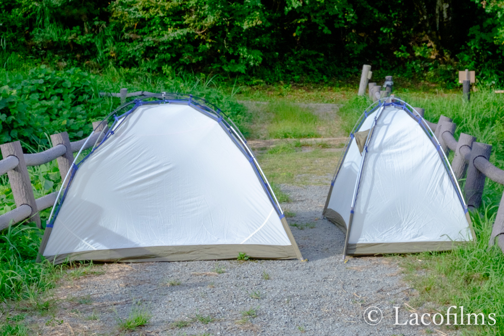 プロモンテ(PuroMonte) アウトドア キャンプ テント 超軽量シングルウォール アルパインテント 2人用 前室付 日本製 VB22Z