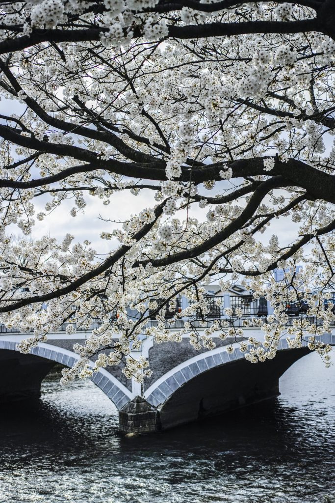 フォトグラファーがfoveonを7年使ってわかったこと 金沢の動画制作 写真撮影 ドローン空撮 Lacofilms