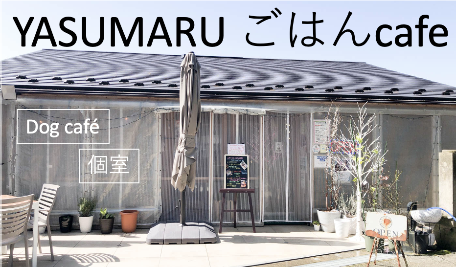 石川県 ドッグカフェ わんこと個室で安心 Yasumaruごはんcafe 金沢の動画制作 写真撮影 ドローン空撮 Lacofilms